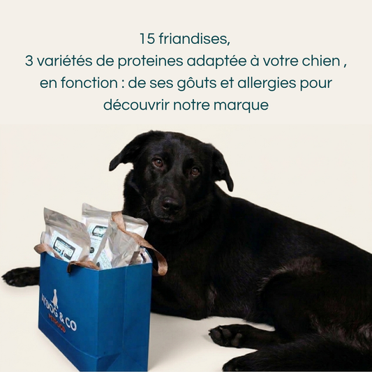 Pack découverte personnalisé - Friandises & mastication pour chien
