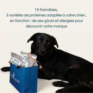 Pack découverte personnalisé - Friandises & mastication pour chien