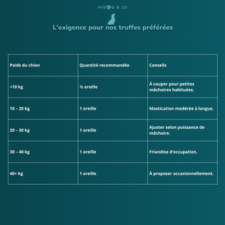 Oreille de boeuf avec poils - Friandises pour chien
