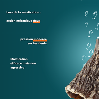 Peau de poisson chat - Friandises pour chien