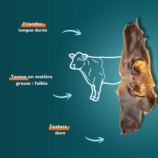 Museau de bœuf - Friandises pour chien