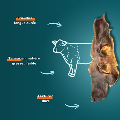 Beef snout - Dog treats