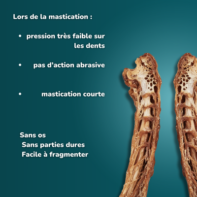 Cou de poulet - Friandises pour chien