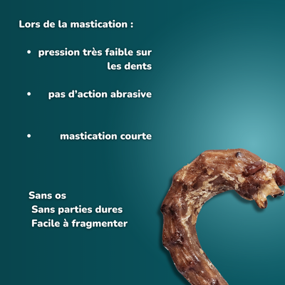 Cou de poulet - Friandises pour chien
