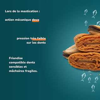 Moules déshydratées - friandises pour chien