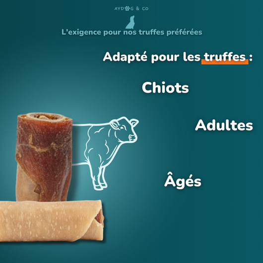 Short-haired beef - Dog treats