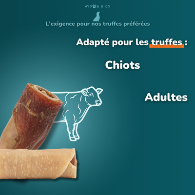 Cuir chevelu de bœuf long - Friandises pour chien