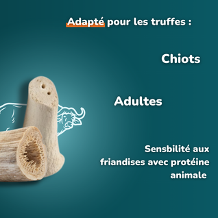 Noyau de corne de buffle