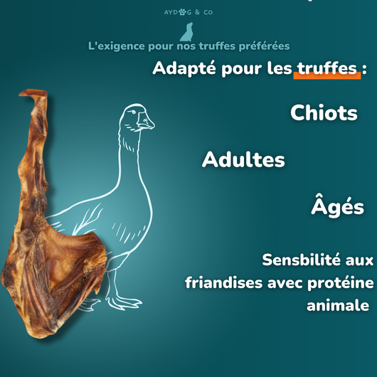 Aile d'oie- Friandises pour chien