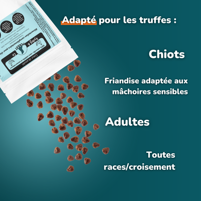 Coeur de poulet - Friandises pour chien