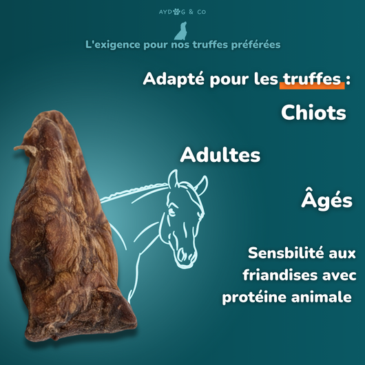 Poumon de cheval - friandises pour chien