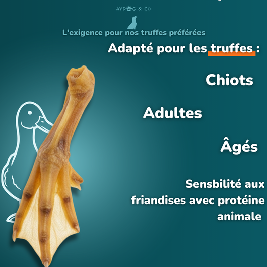Patte de canard - Friandises pour chien