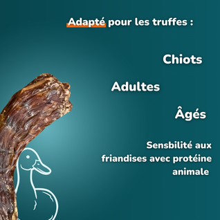 Cou de canard - Friandises pour chien