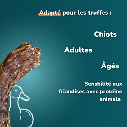 Cou de canard - Friandises pour chien