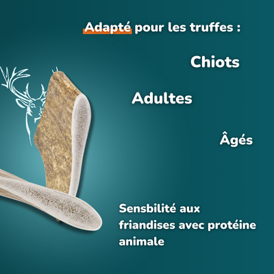 Bois de daim - Friandises pour chiens