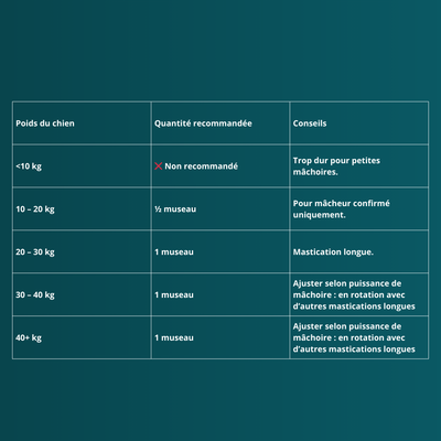 Beef snout - Dog treats