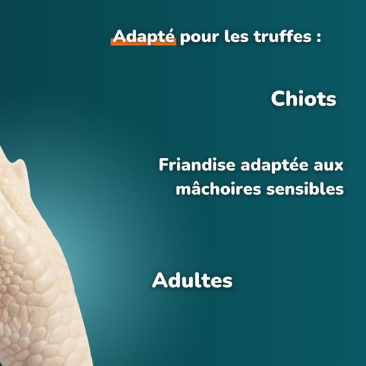 Patte de poulet soufflé - Friandises pour chien