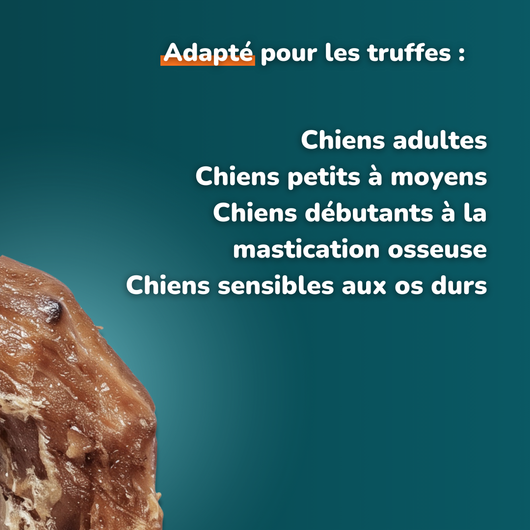 Cou de poulet - Friandises pour chien