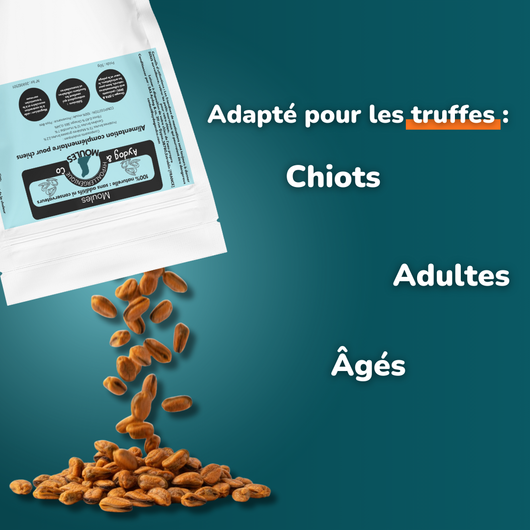 Moules déshydratées - friandises pour chien