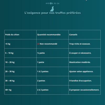 Patte de canard - Friandises pour chien