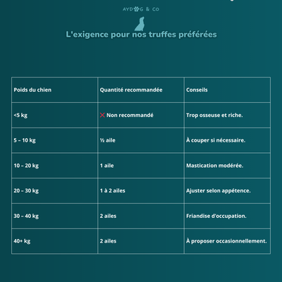 Aile de canard - Friandises pour chien
