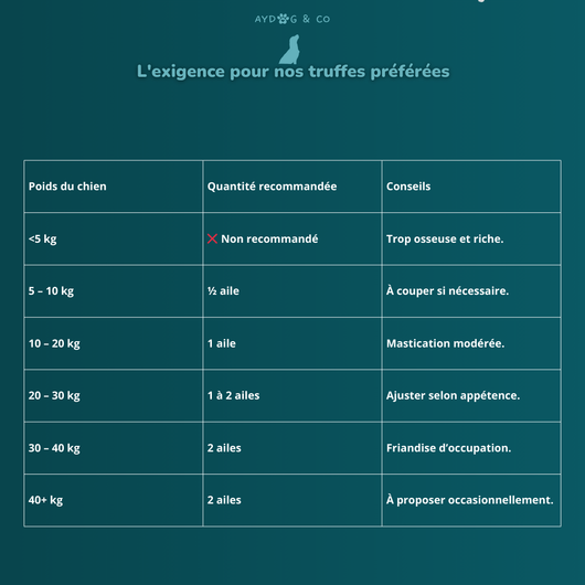 Aile de canard - Friandises pour chien