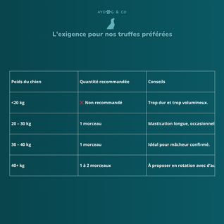 Cuir chevelu de bœuf long - Friandises pour chien