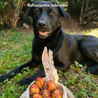 Rabbit ear with fur - Dog treats