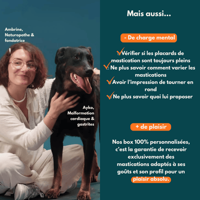 Caja personalizada de premios y masticables para mascotas