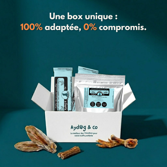 Personalized monthly box - Dog treats 