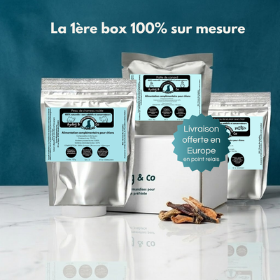 Box mensuelle personnalisée de friandises