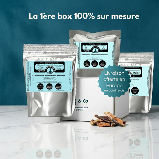 Box mensuelle personnalisée de friandises