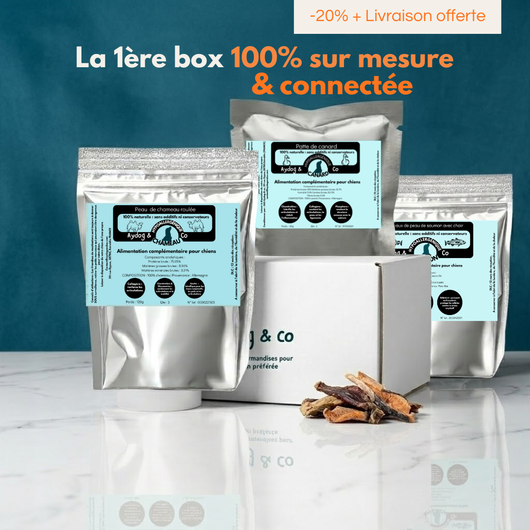 Box personnalisée de friandises et mastications naturelles