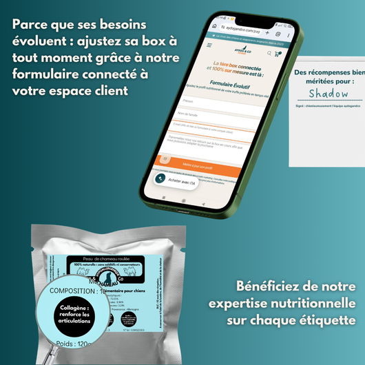 Box personnalisée de friandises et mastications naturelles