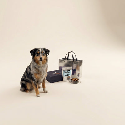 Calendrier de l'avent premium pour chiens - Friandises et mastications