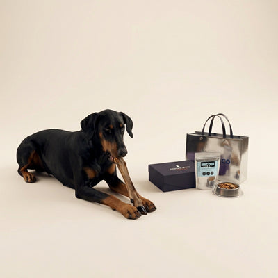 Calendrier de l'avent premium pour chiens - Friandises et mastications