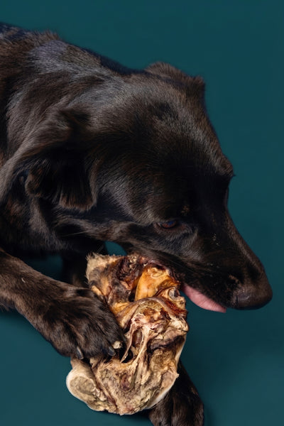 Personalized monthly box - Dog treats 