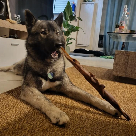 Calendario dell'avvento personalizzato per cani