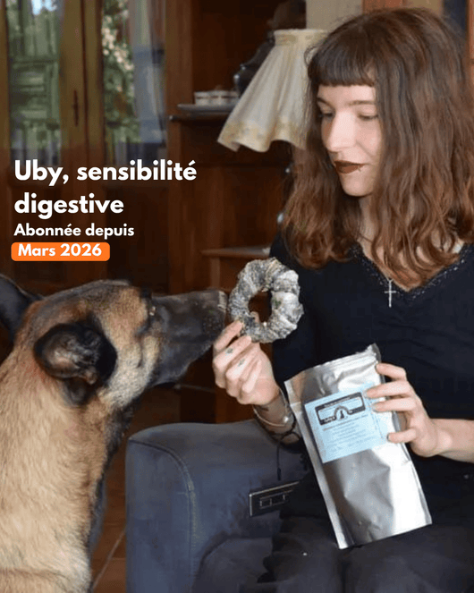 Scatola a sorpresa di masticativi e snack naturali premium