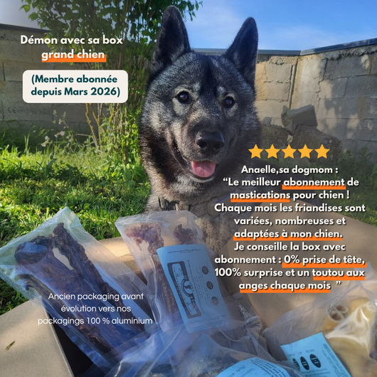 Personalized monthly box - Dog treats 