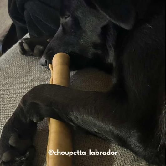 Rolled beef cheek 30cm - Dog treats
