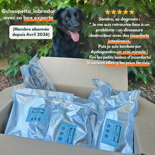 Box expert premium de friandises & mastications