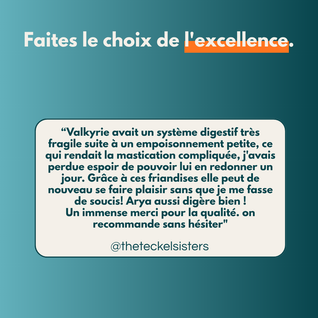 Peau de chevreuil XL - Friandises pour chien