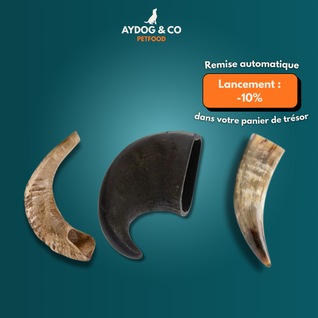 Corne [Précommande]