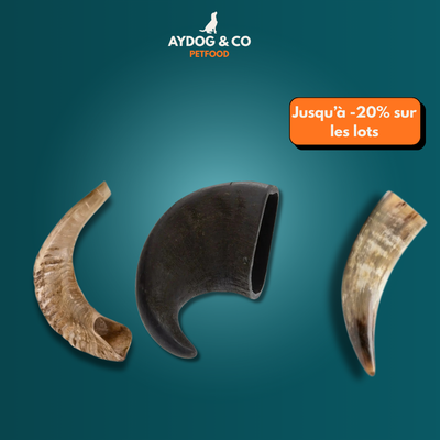 Trio corne  (Buffle + Mouton + Vache)  [Précommande]