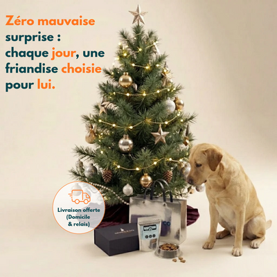 Calendario dell'avvento personalizzato per cani