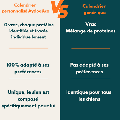 Calendario dell'avvento personalizzato per cani