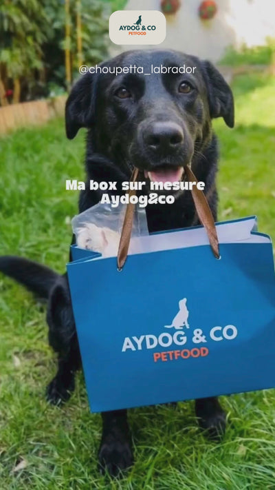 Personalized monthly box - Dog treats 