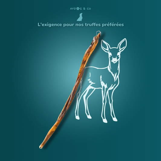 Peau de chevreuil XL - Friandises pour chien