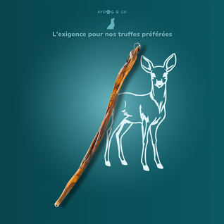 Peau de chevreuil XL - Friandises pour chien